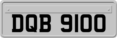 DQB9100