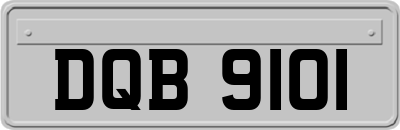 DQB9101