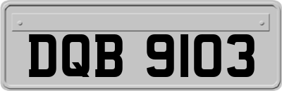 DQB9103