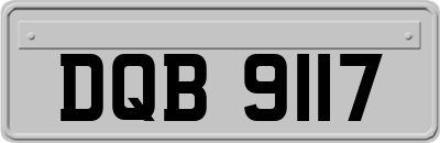 DQB9117