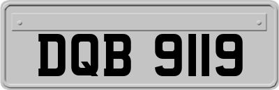 DQB9119