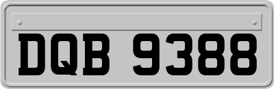 DQB9388