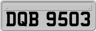 DQB9503