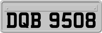 DQB9508