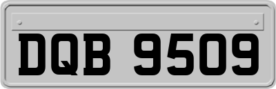 DQB9509