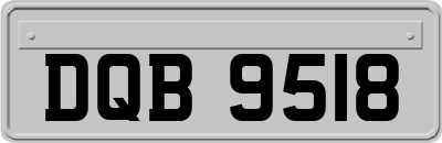 DQB9518