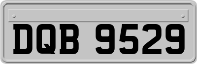 DQB9529