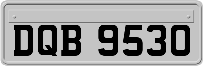 DQB9530