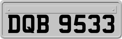DQB9533