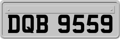 DQB9559