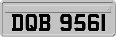 DQB9561