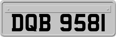 DQB9581