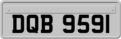 DQB9591