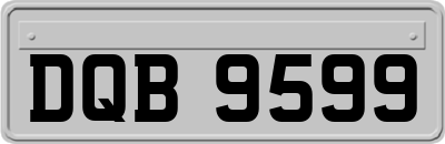 DQB9599