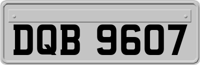 DQB9607