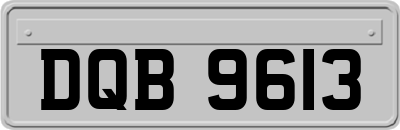 DQB9613