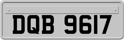 DQB9617
