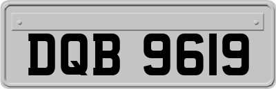 DQB9619