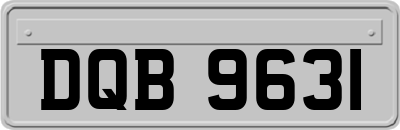 DQB9631