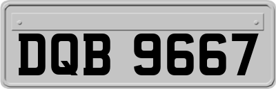 DQB9667