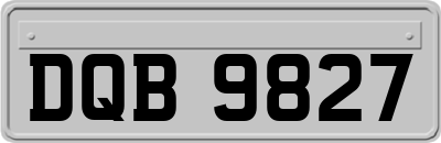 DQB9827