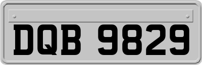 DQB9829