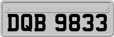 DQB9833