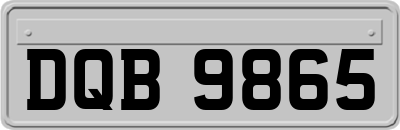 DQB9865