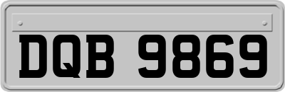 DQB9869