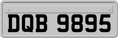 DQB9895