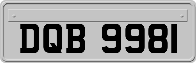 DQB9981