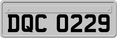 DQC0229