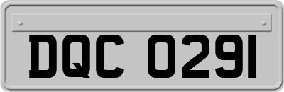 DQC0291