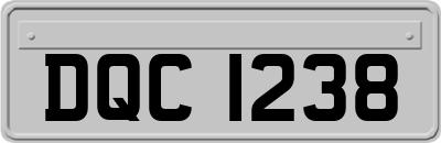 DQC1238