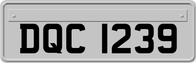 DQC1239