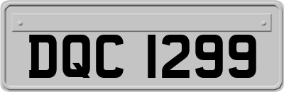 DQC1299