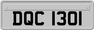 DQC1301