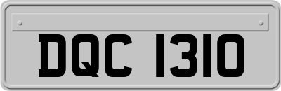 DQC1310