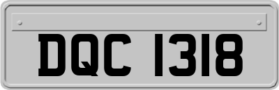 DQC1318