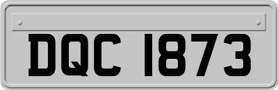 DQC1873
