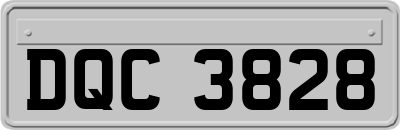 DQC3828