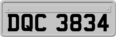DQC3834