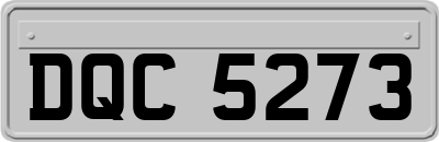 DQC5273