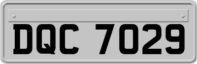 DQC7029
