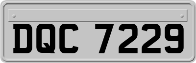 DQC7229