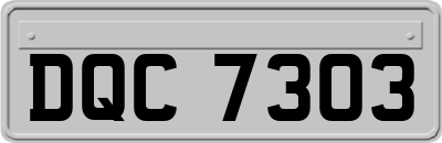 DQC7303