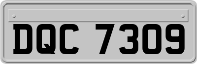 DQC7309