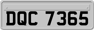 DQC7365