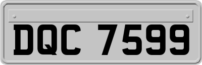 DQC7599