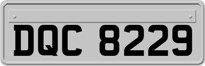 DQC8229